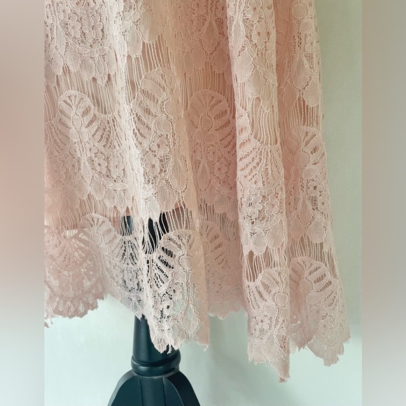 DAINTY JEWELL’S Pink Lace A-Line Midi Dress Size M Fairy Girlhoodcore Romantic - Picture 6 of 12